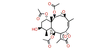 Briarenol F